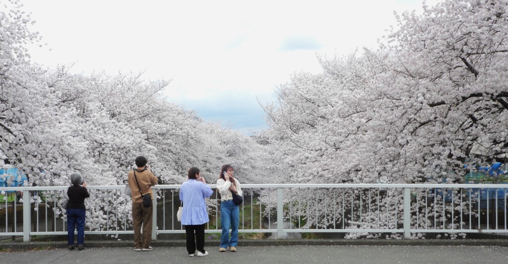 再び三沢川