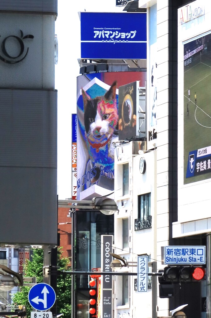 新宿東口３D巨大猫