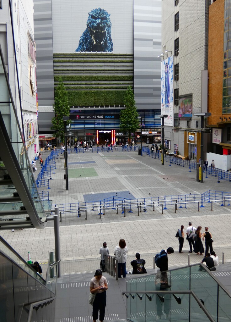 「とー横」前封鎖