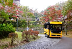 紅葉には早かった