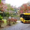紅葉には早かった