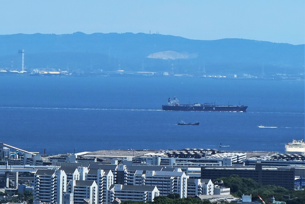 根岸沖