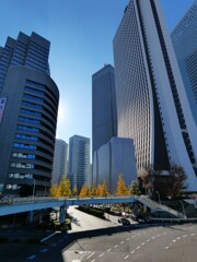 超高層レフ板