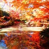 池に映る紅葉