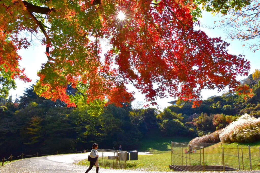 専修大学前