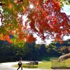 専修大学前