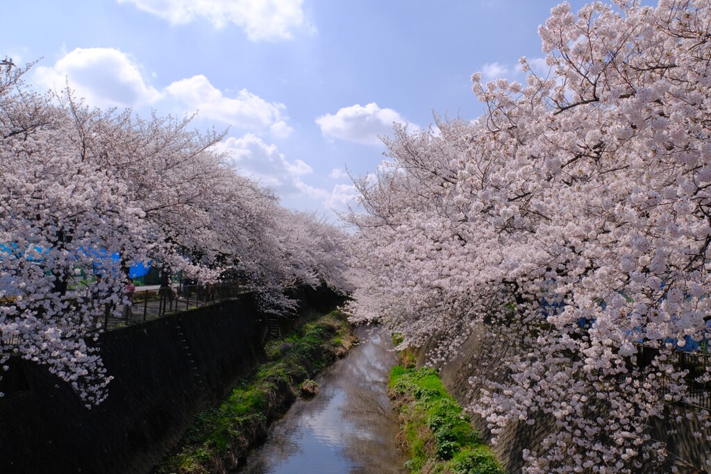 稲城市役所