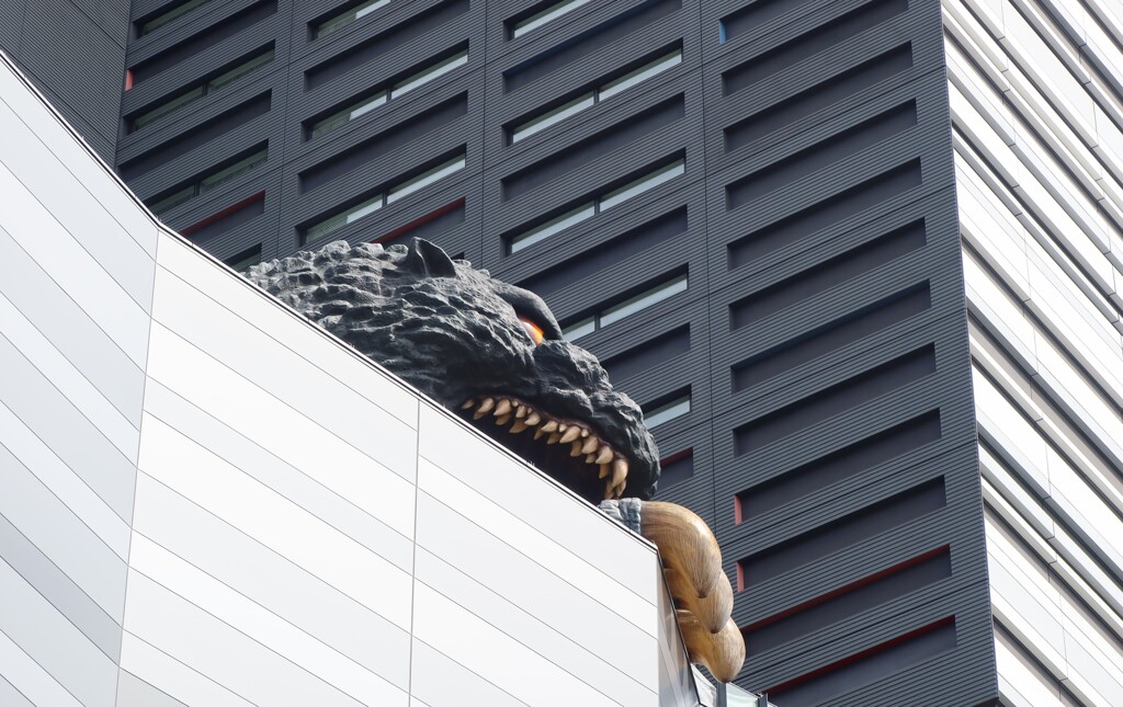ゴジラの横顔