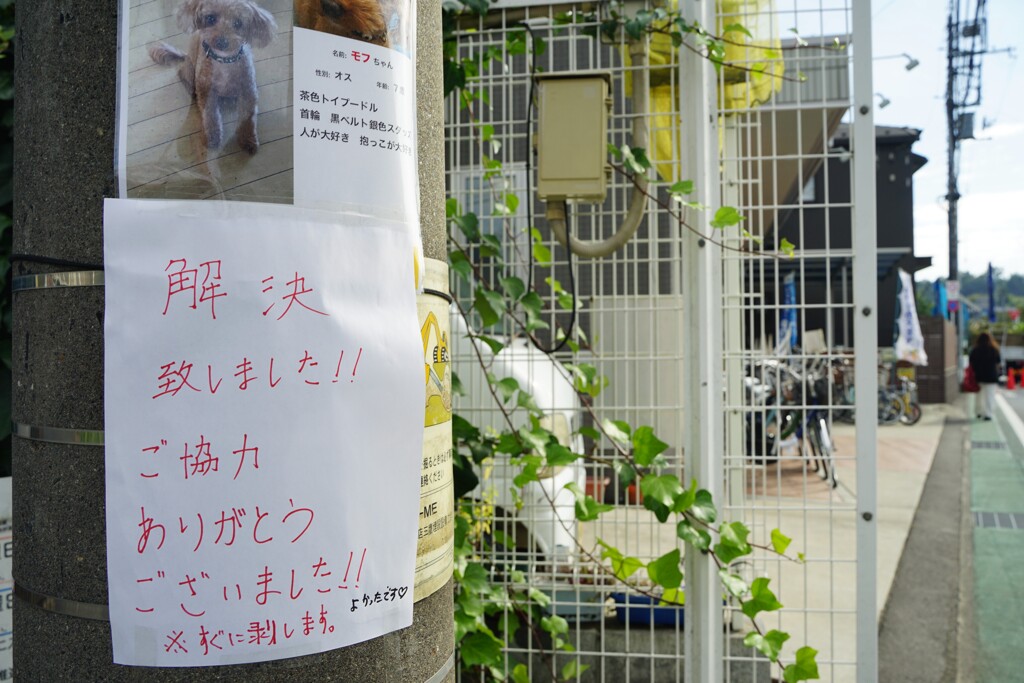 よかったですね