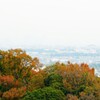 六本木、麻布方面