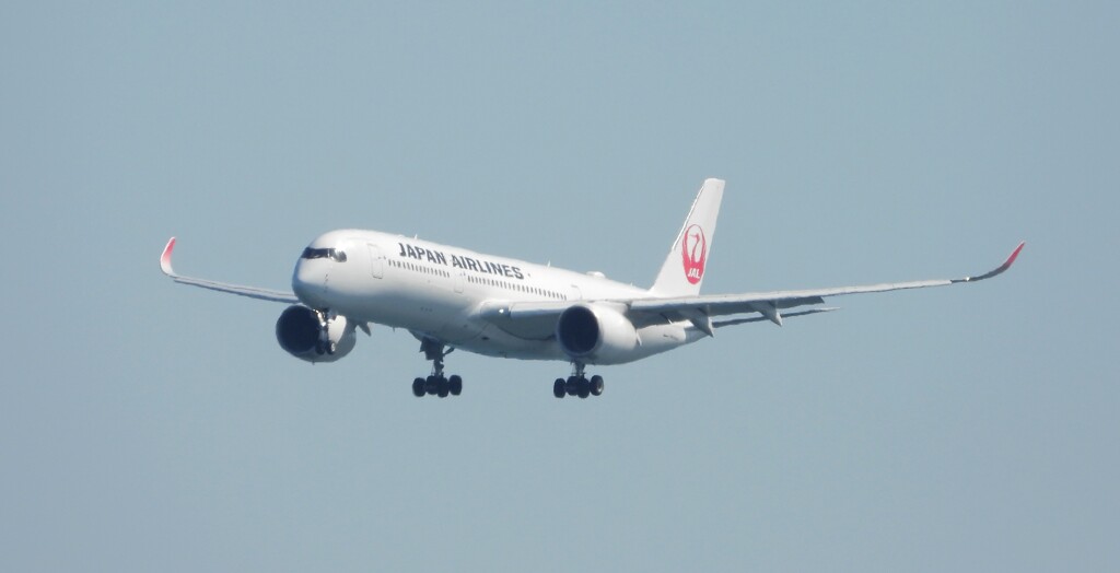 JAL