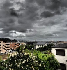 雨雲は南東へ