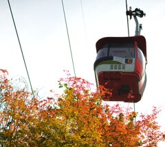 紅葉の先陣