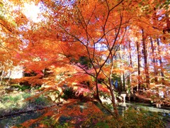 奥の池
