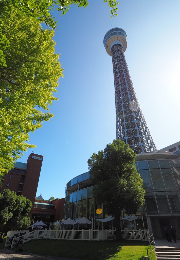 横浜マリンタワー