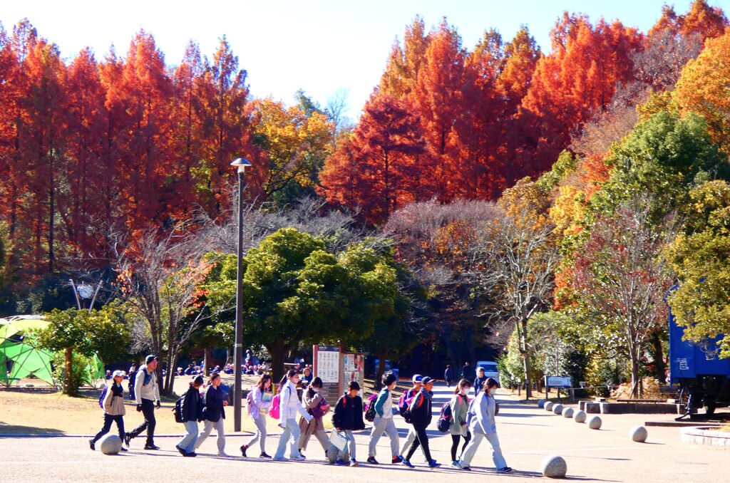 生田キッズ小学生