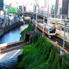 聖橋から