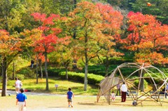 中央広場