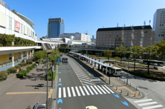 悪夢の横断歩道