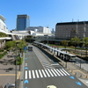 悪夢の横断歩道