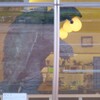 ゴジラとガメラ