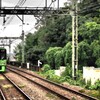高尾山仕様