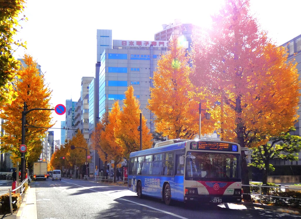 滝野川通り
