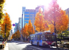 滝野川通り