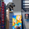 キャーッ ‼