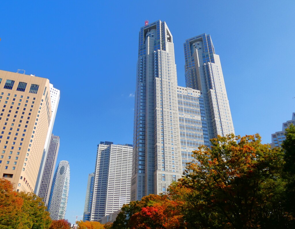 都庁