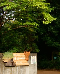 縄文の村