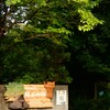 縄文の村