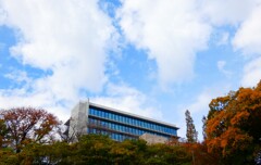 専修大学