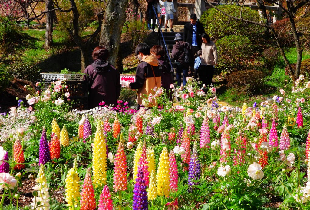 花園