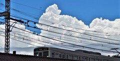 出陣あるのみ