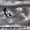 水たまりの電線