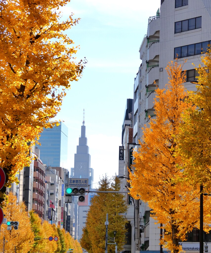 新宿百人町交差点
