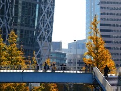 新都心歩道橋