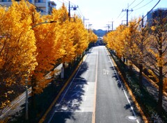 方角によって