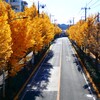 方角によって
