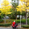 ノルマ確認中