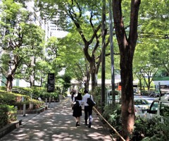 高校生カップル