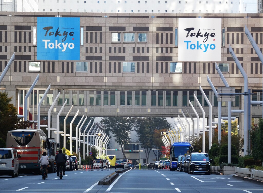 都庁通り