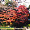 靖泉亭と紅葉