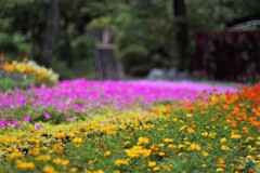 ほぼ開放