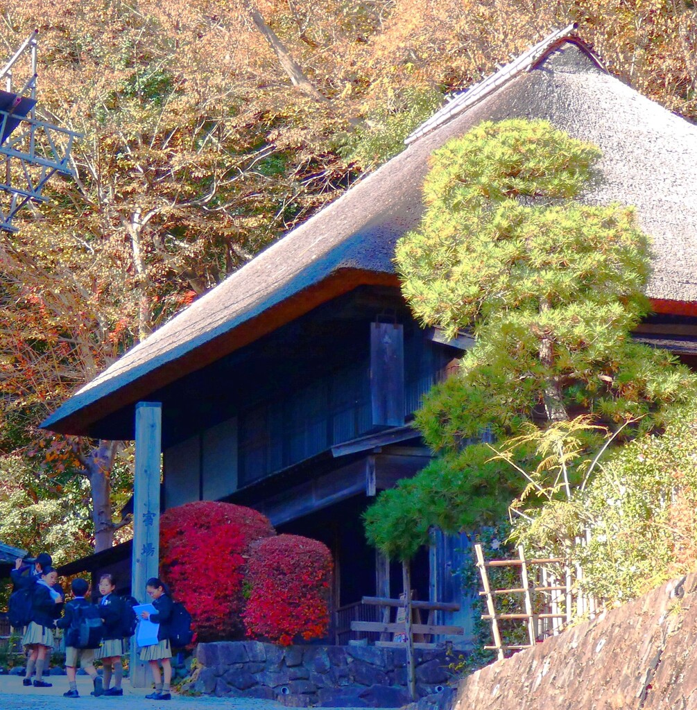 生田キッズ