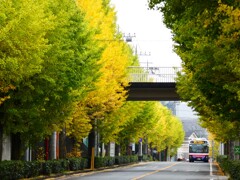 日テレ生田スタジオ坂