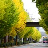 日テレ生田スタジオ坂