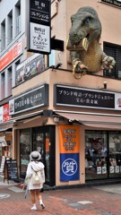 質屋の恐竜