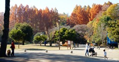 生田緑地中央広場